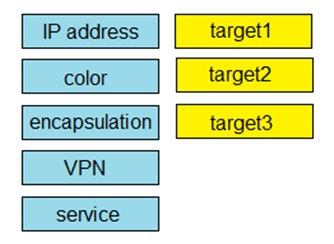 300-415 dumps exhibit